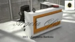 3001 Kasa Bankosu